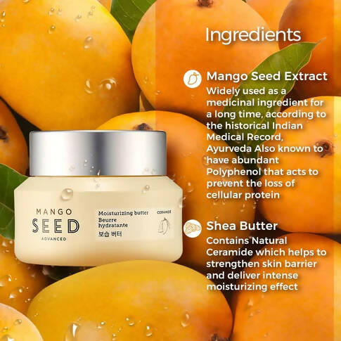 https://cdn.shopify.com/s/files/1/1857/6931/products/T2xryVR6r6.jpg?v=1681468135