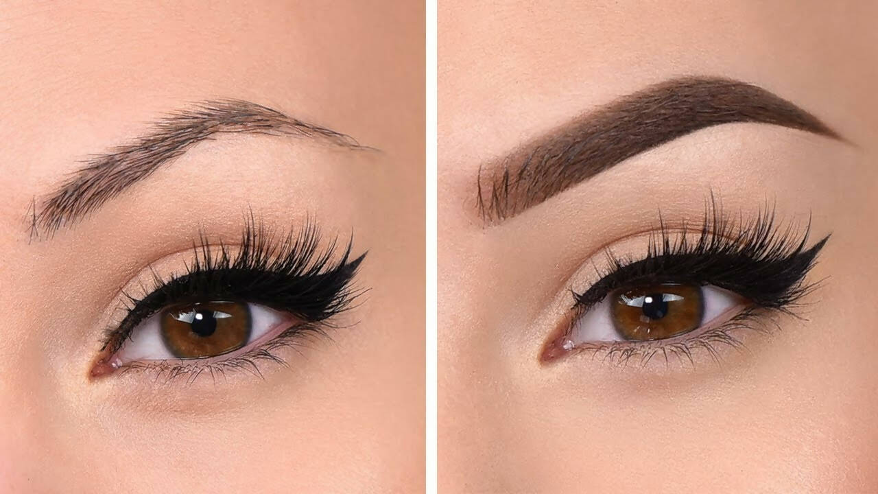https://cdn.shopify.com/s/files/1/1857/6931/products/T3bEcY24dB.jpg?v=1672817217