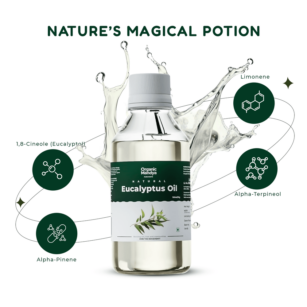 https://cdn.shopify.com/s/files/1/1857/6931/files/T46Necv49T.png?v=1773048698