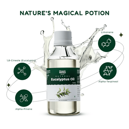 https://cdn.shopify.com/s/files/1/1857/6931/files/T46Necv49T.png?v=1773048698