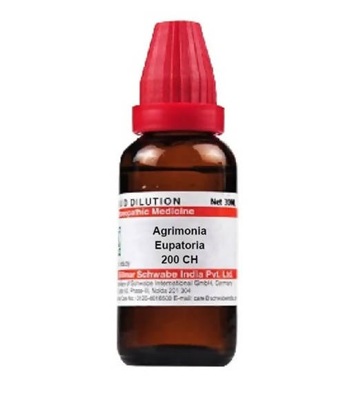 https://cdn.shopify.com/s/files/1/1857/6931/products/T5IxH2GbiB.jpg?v=1641549071