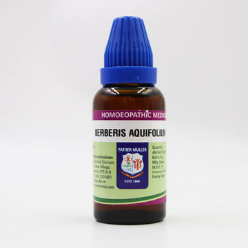 https://cdn.shopify.com/s/files/1/1857/6931/files/T6m0mjpiYz.jpg?v=1718255510