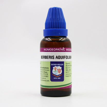 https://cdn.shopify.com/s/files/1/1857/6931/files/T6m0mjpiYz.jpg?v=1718255510