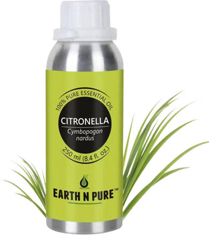 https://cdn.shopify.com/s/files/1/1857/6931/products/T7KGxTWgpF.jpg?v=1646137529