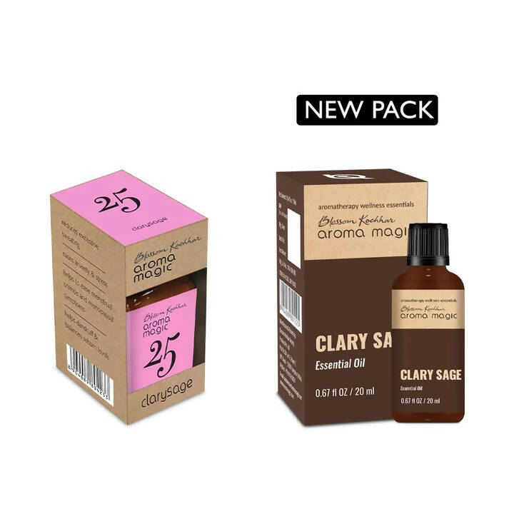 https://cdn.shopify.com/s/files/1/1857/6931/products/T7fVxItblc.jpg?v=1677732915