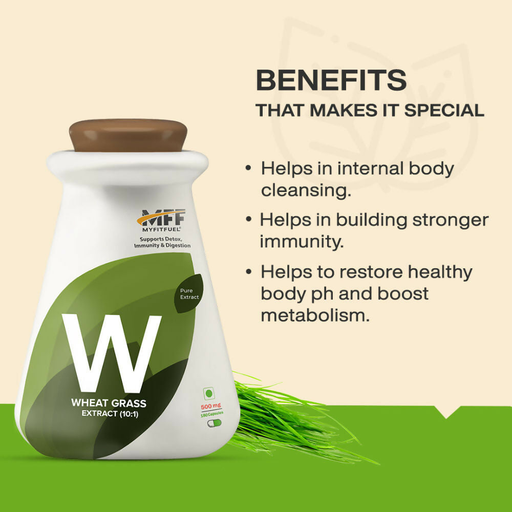 https://cdn.shopify.com/s/files/1/1857/6931/files/T8M6cPI2xT.jpg?v=1729667804