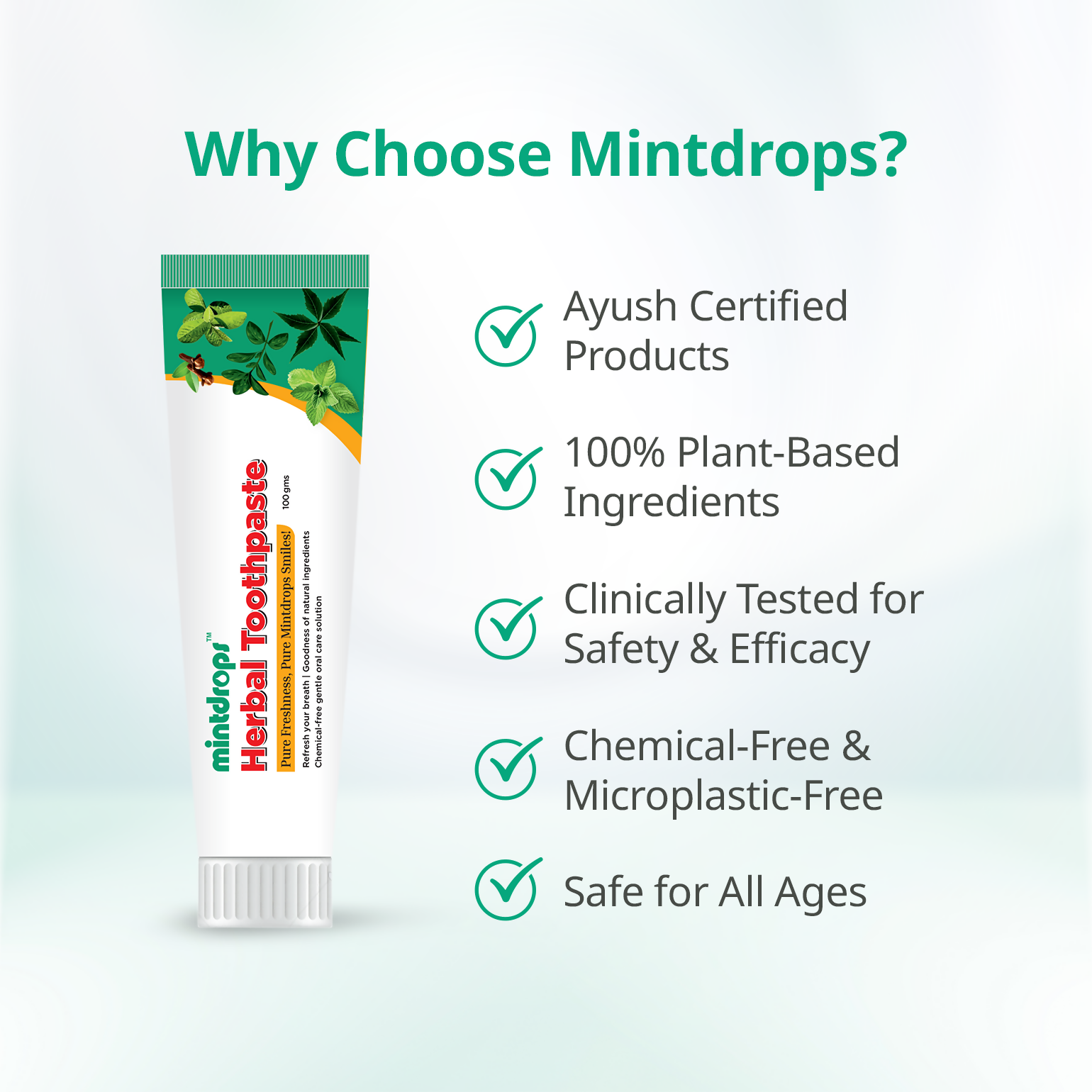 https://cdn.shopify.com/s/files/1/1857/6931/files/T8mRJPljpt.png?v=1757488604
