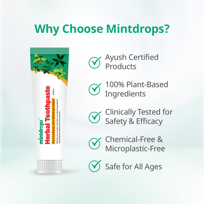 https://cdn.shopify.com/s/files/1/1857/6931/files/T8mRJPljpt.png?v=1757488604