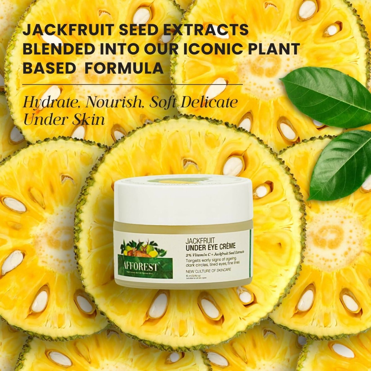 https://cdn.shopify.com/s/files/1/1857/6931/files/T90WyWil74-255421.jpg?v=1736143985