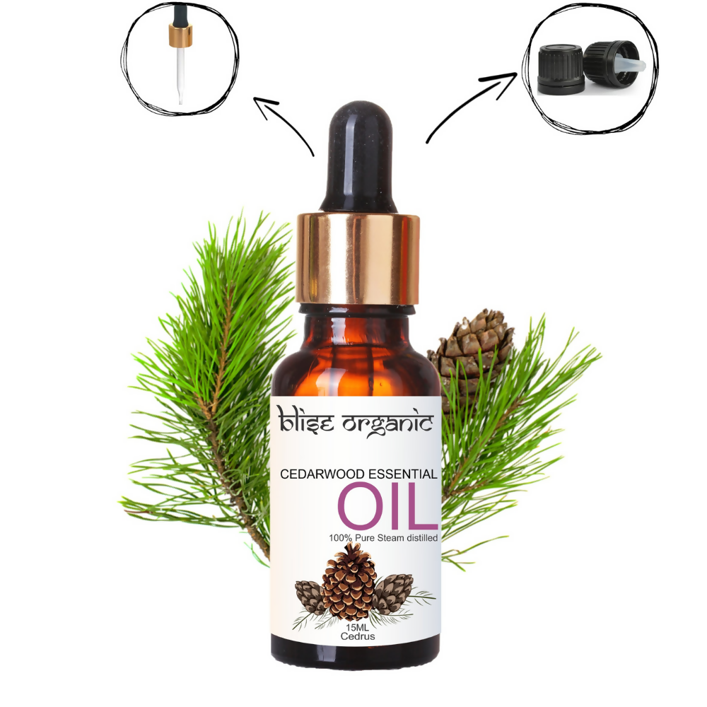 https://cdn.shopify.com/s/files/1/1857/6931/files/TCGV2nFn7p.png?v=1777963667