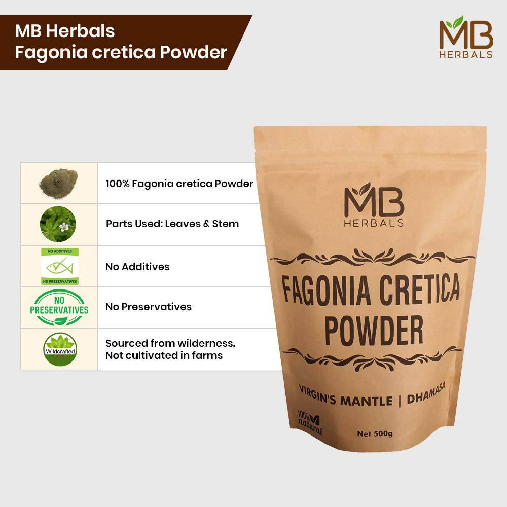 https://cdn.shopify.com/s/files/1/1857/6931/products/TCUtTLuada.jpg?v=1682333595