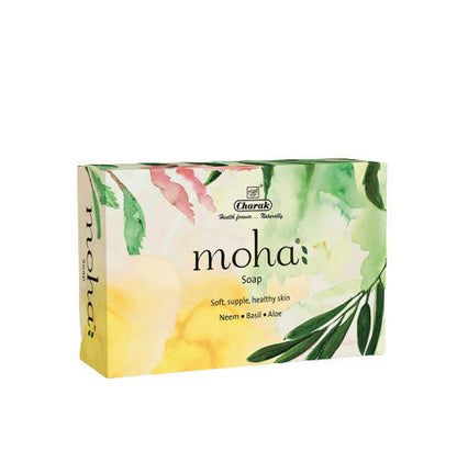 https://cdn.shopify.com/s/files/1/1857/6931/products/TCbWdVf2fS.jpg?v=1759288194