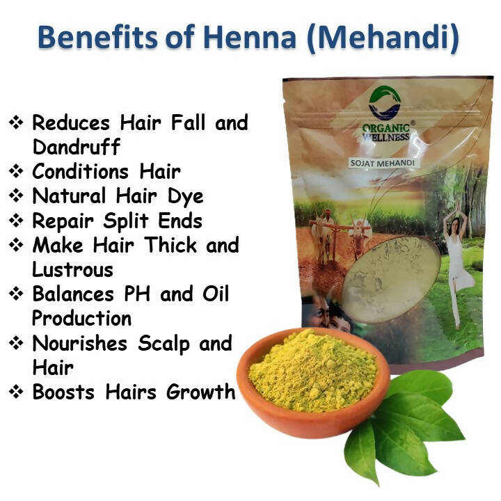 https://cdn.shopify.com/s/files/1/1857/6931/products/TENtkmlC4l.jpg?v=1690973542