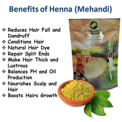 https://cdn.shopify.com/s/files/1/1857/6931/products/TENtkmlC4l.jpg?v=1690973542