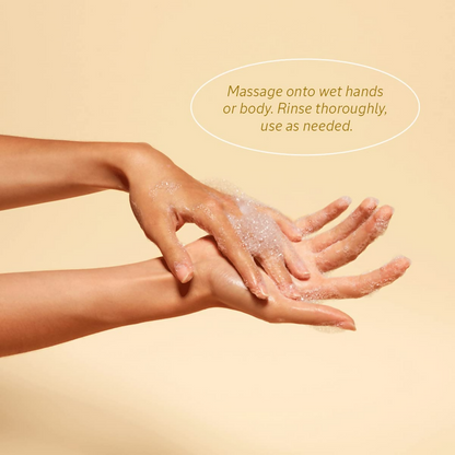 https://cdn.shopify.com/s/files/1/1857/6931/files/THgJFPKwuv.png?v=1727180298