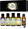 https://cdn.shopify.com/s/files/1/1857/6931/products/TIhX3om6kh.jpg?v=1759366010