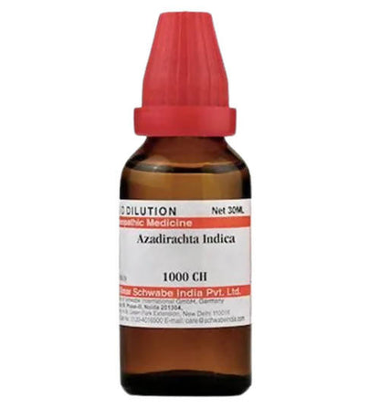 https://cdn.shopify.com/s/files/1/1857/6931/products/TJo1Gnhmq3.jpg?v=1640866081