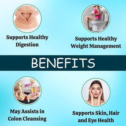 https://cdn.shopify.com/s/files/1/1857/6931/files/TL018-3_1.jpg?v=1760087485