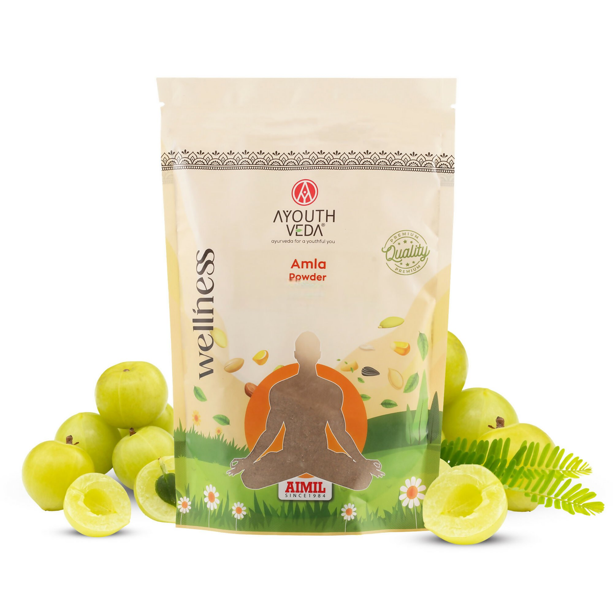 Image 1 of 200 gm for the product Ayouthveda Amla Powder