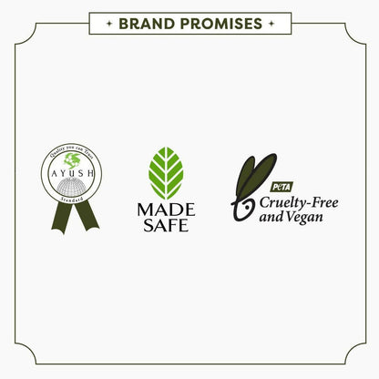 https://cdn.shopify.com/s/files/1/1857/6931/files/TM1LJbKZLz-381397.jpg?v=1736150934
