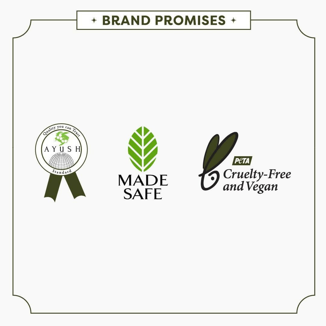https://cdn.shopify.com/s/files/1/1857/6931/files/TM1LJbKZLz-381397.jpg?v=1736150934