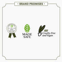 https://cdn.shopify.com/s/files/1/1857/6931/files/TM1LJbKZLz-381397.jpg?v=1736150934