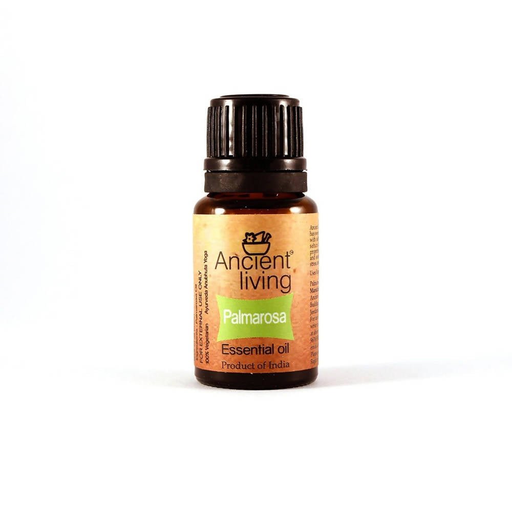 https://cdn.shopify.com/s/files/1/1857/6931/files/TOd8GhKwBX-756369.jpg?v=1736147457