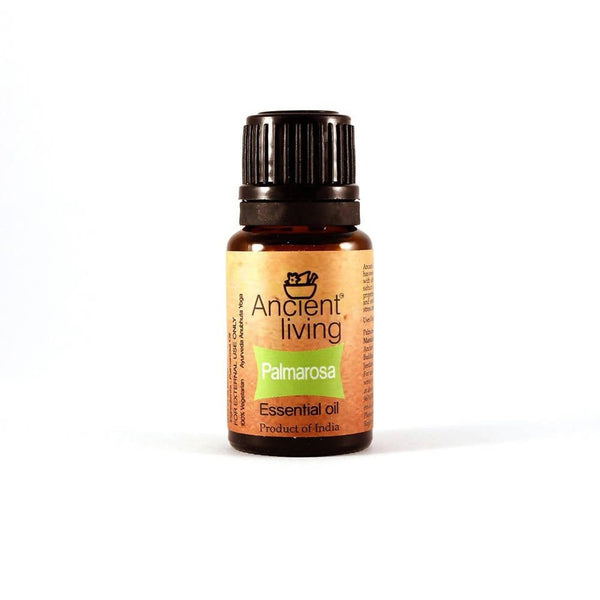 https://cdn.shopify.com/s/files/1/1857/6931/files/TOd8GhKwBX-756369.jpg?v=1736147457
