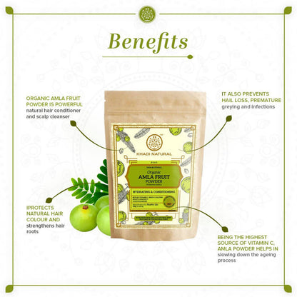 https://cdn.shopify.com/s/files/1/1857/6931/products/TOtwU8jS2i.jpg?v=1641906228