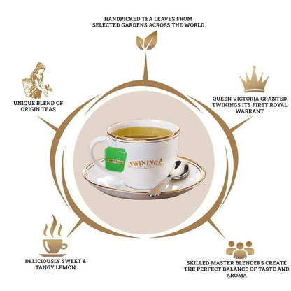 https://cdn.shopify.com/s/files/1/1857/6931/products/TPFPUZ2nGx.jpg?v=1705743496