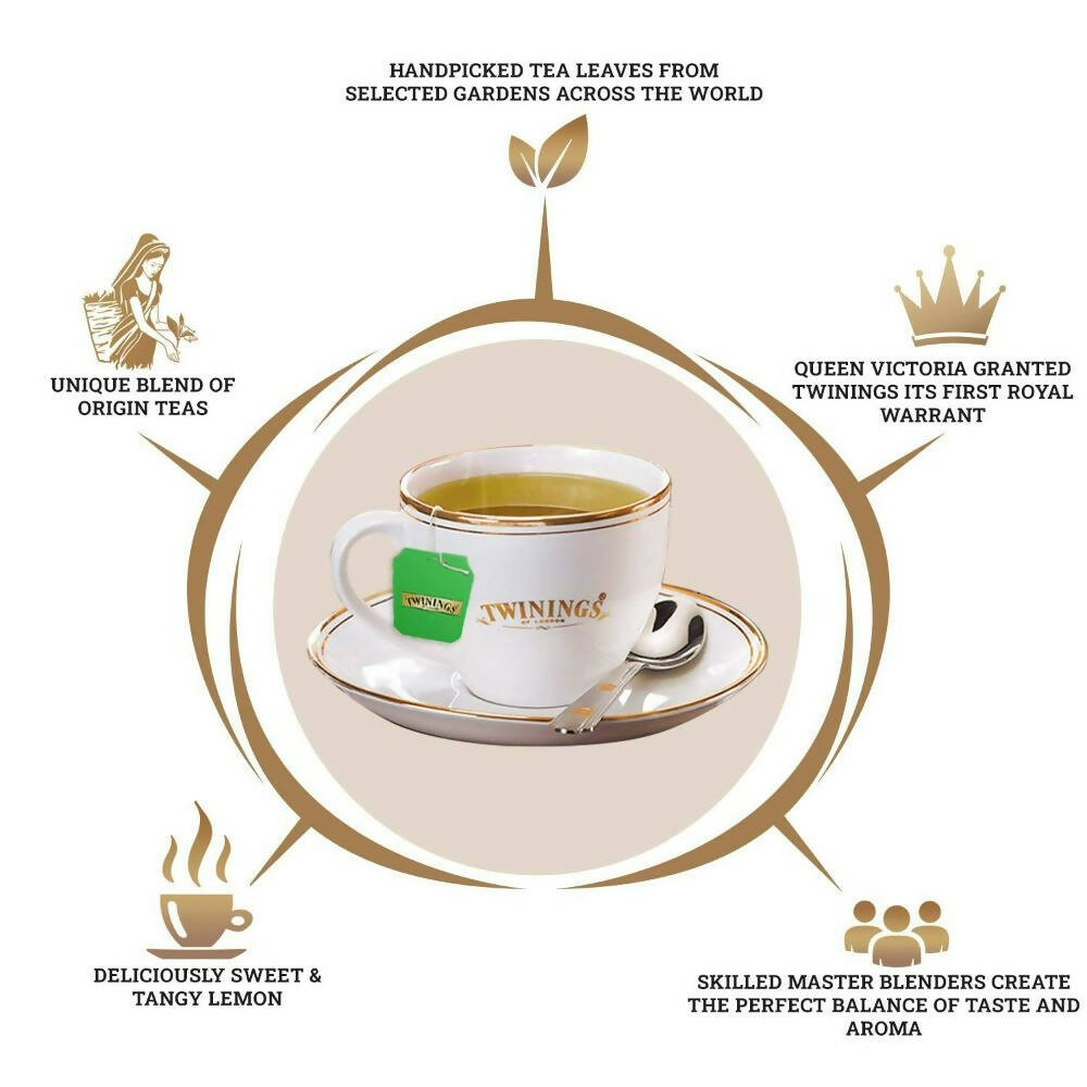 https://cdn.shopify.com/s/files/1/1857/6931/products/TPFPUZ2nGx.jpg?v=1705743496