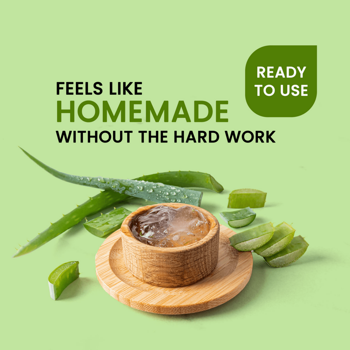 https://cdn.shopify.com/s/files/1/1857/6931/files/TQCK7pkfHG-884789.png?v=1736146680