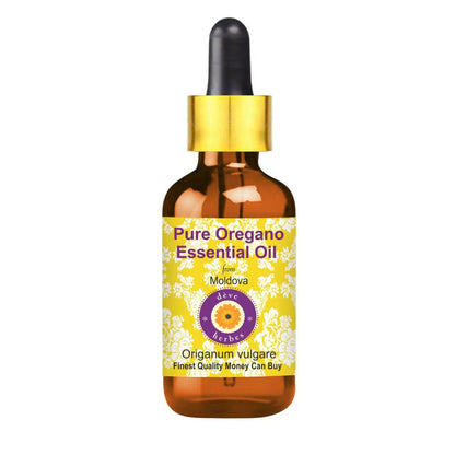 https://cdn.shopify.com/s/files/1/1857/6931/products/TRzjnrJQVD.jpg?v=1759384298