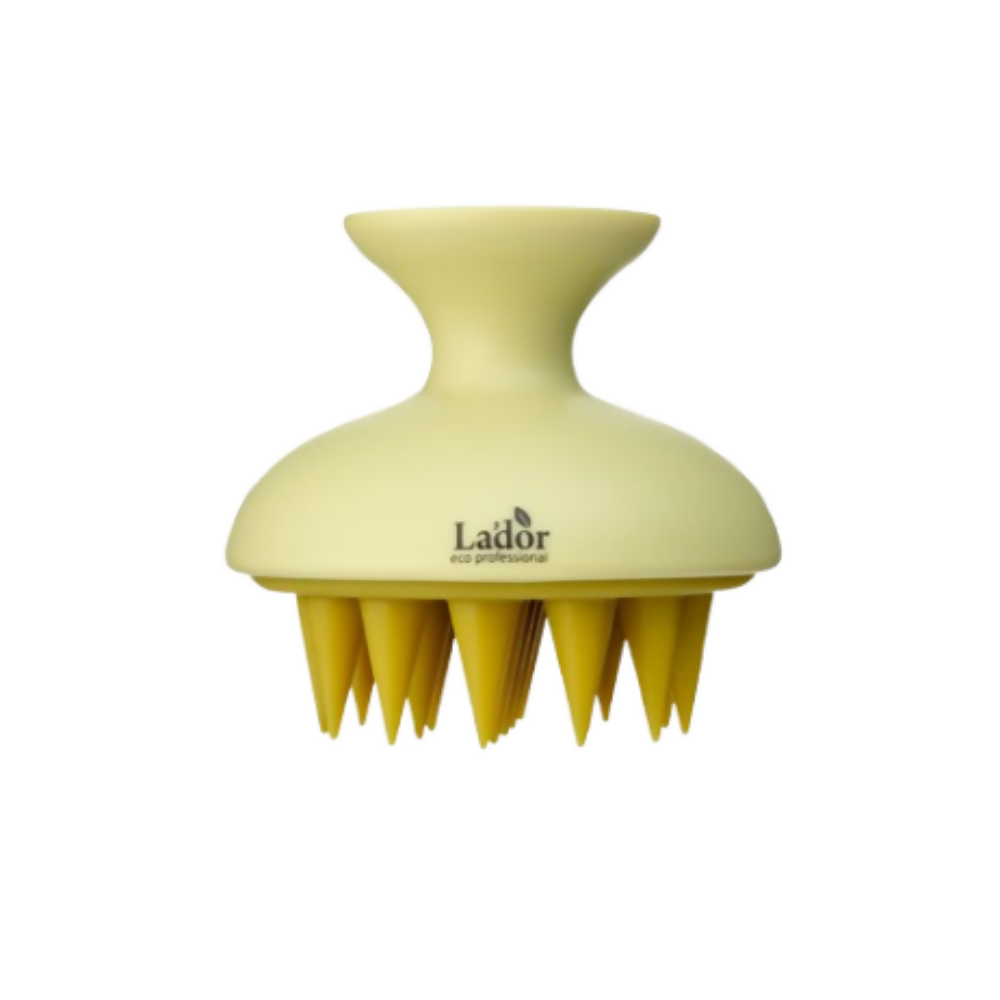 https://cdn.shopify.com/s/files/1/1857/6931/files/TS8rDgFcbq.png?v=1767606966