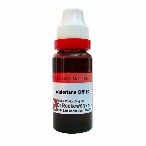 https://cdn.shopify.com/s/files/1/1857/6931/products/TSLYAQn1ge.jpg?v=1638016926