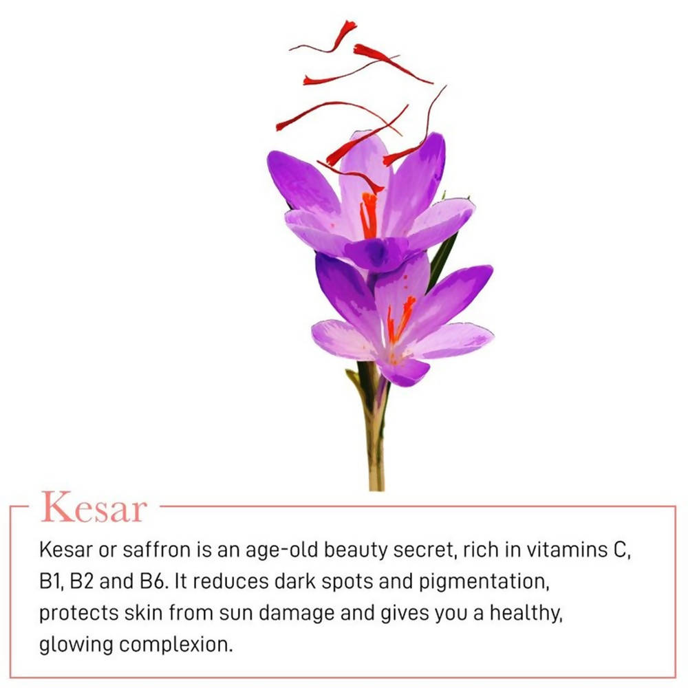 https://cdn.shopify.com/s/files/1/1857/6931/products/TTOnC8yOCq.jpg?v=1619145285