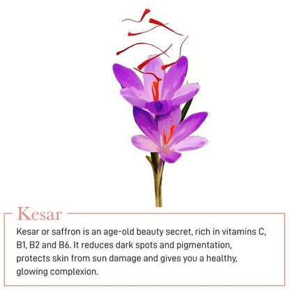 https://cdn.shopify.com/s/files/1/1857/6931/products/TTOnC8yOCq.jpg?v=1619145285