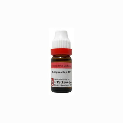 https://cdn.shopify.com/s/files/1/1857/6931/products/TTfl96bJjf.jpg?v=1679658274