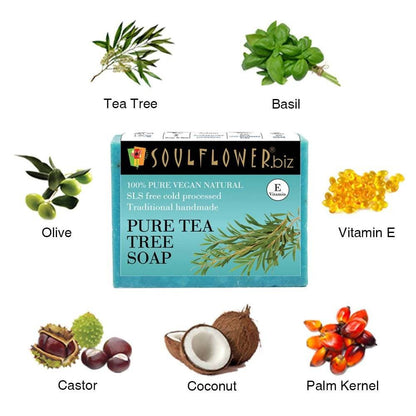 https://cdn.shopify.com/s/files/1/1857/6931/products/TWBMSqyhA7.jpg?v=1614911323