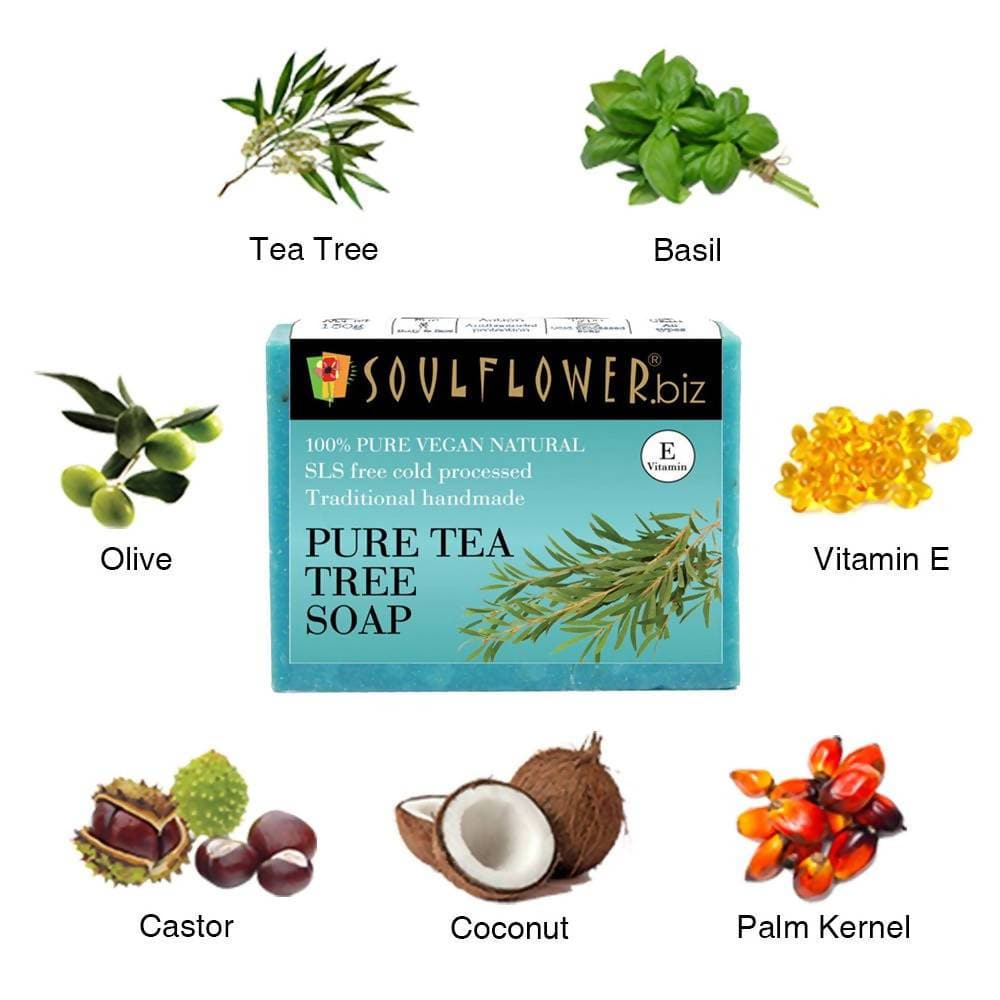 https://cdn.shopify.com/s/files/1/1857/6931/products/TWBMSqyhA7.jpg?v=1614911323