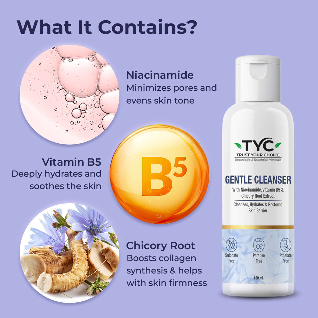 https://cdn.shopify.com/s/files/1/1857/6931/files/TYC_Gentle_Cleanser_Ingredients.png?v=1778491904