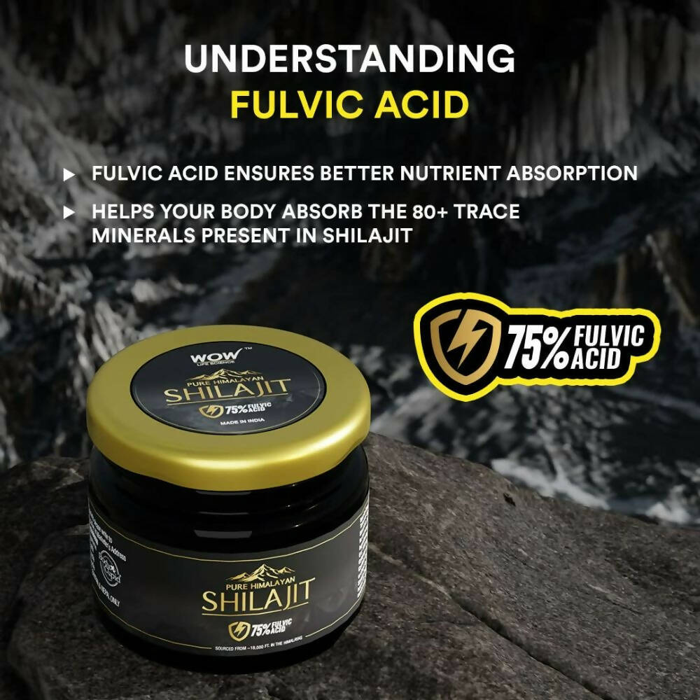 https://cdn.shopify.com/s/files/1/1857/6931/products/TYVAQXzC0M.jpg?v=1693815708