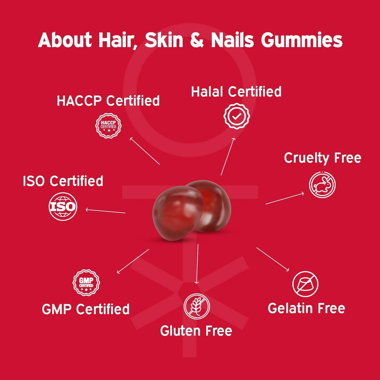 https://cdn.shopify.com/s/files/1/1857/6931/products/TZBqq5a2bx.jpg?v=1704284474