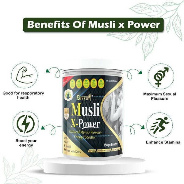 https://cdn.shopify.com/s/files/1/1857/6931/products/TZUNa9HHsn.jpg?v=1672210446