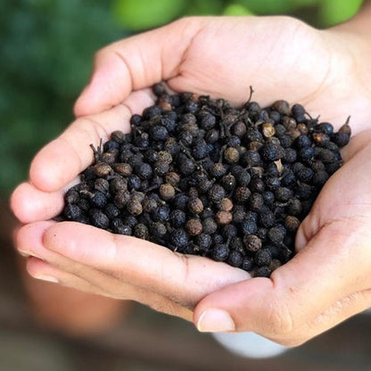 https://cdn.shopify.com/s/files/1/1857/6931/products/TailedPepper_KababChini_2.jpg?v=1623904911