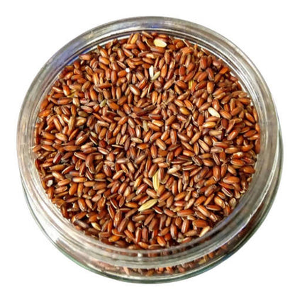 https://cdn.shopify.com/s/files/1/1857/6931/products/TbsVXCulLe.jpg?v=1759325304