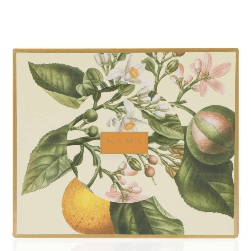 https://cdn.shopify.com/s/files/1/1857/6931/products/TbuLwjegm5.jpg?v=1613920408