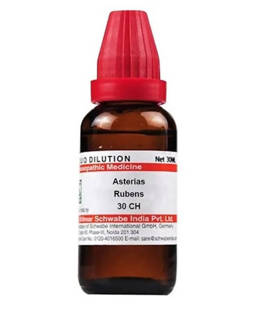 https://cdn.shopify.com/s/files/1/1857/6931/products/TdQMbUcKvu.jpg?v=1640930085