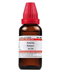https://cdn.shopify.com/s/files/1/1857/6931/products/TdQMbUcKvu.jpg?v=1640930085