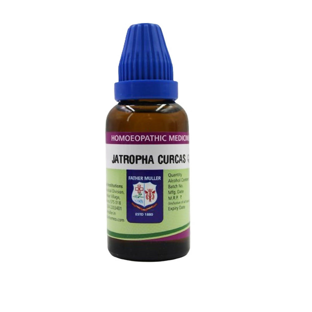 https://cdn.shopify.com/s/files/1/1857/6931/files/TdSvi2NSbl.jpg?v=1717141252
